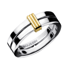 Subtile Eternité wedding band, white gold with link in yellow gold